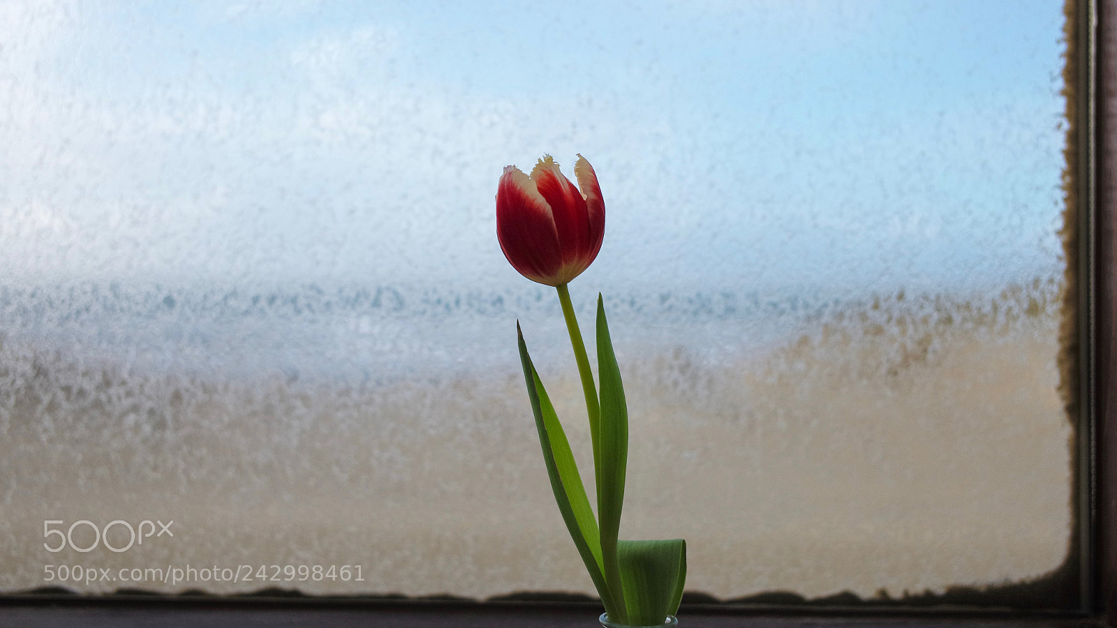 Leica M (Typ 240) sample photo. Sea view during storm. photography