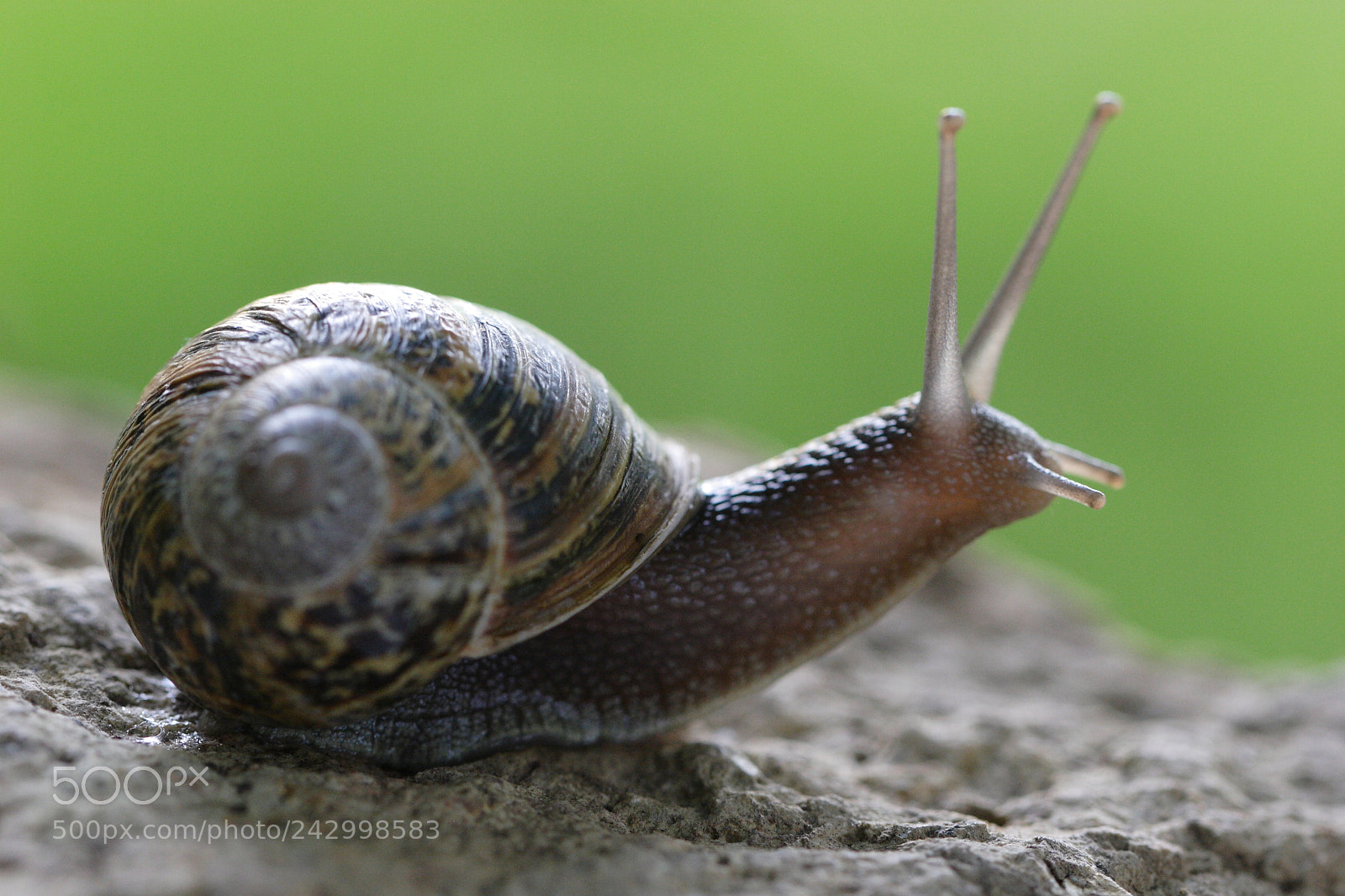 Canon EOS 20D sample photo. Untitled photography
