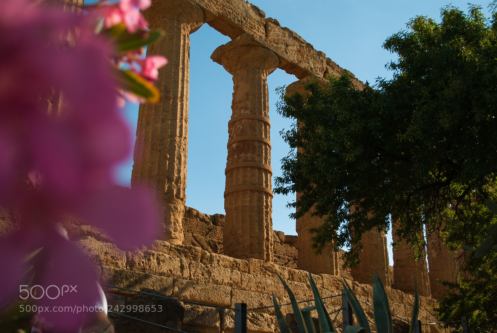 Nikon D3000 sample photo. Scorcio sul tempio photography