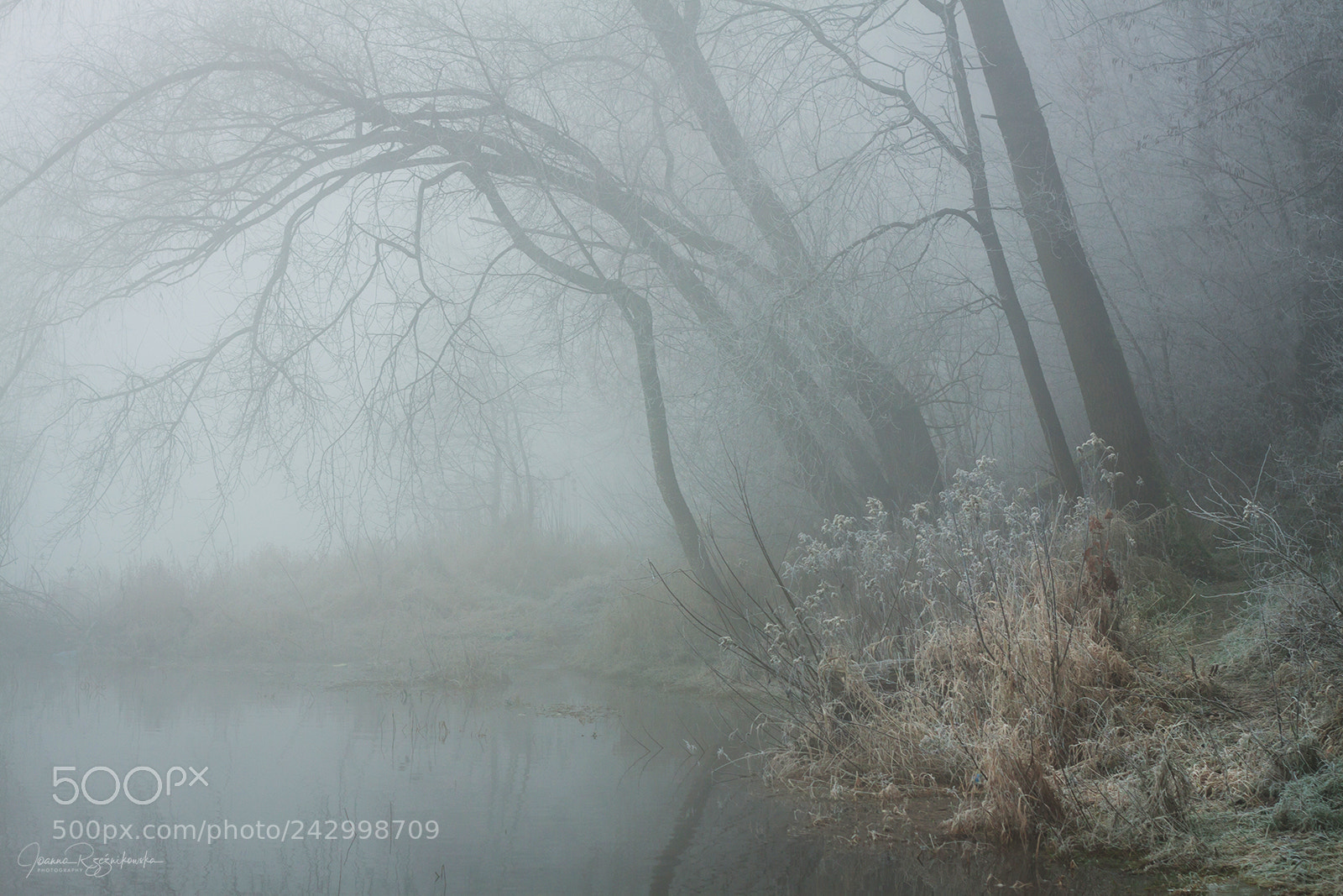 Canon EOS 50D sample photo. My paths photography