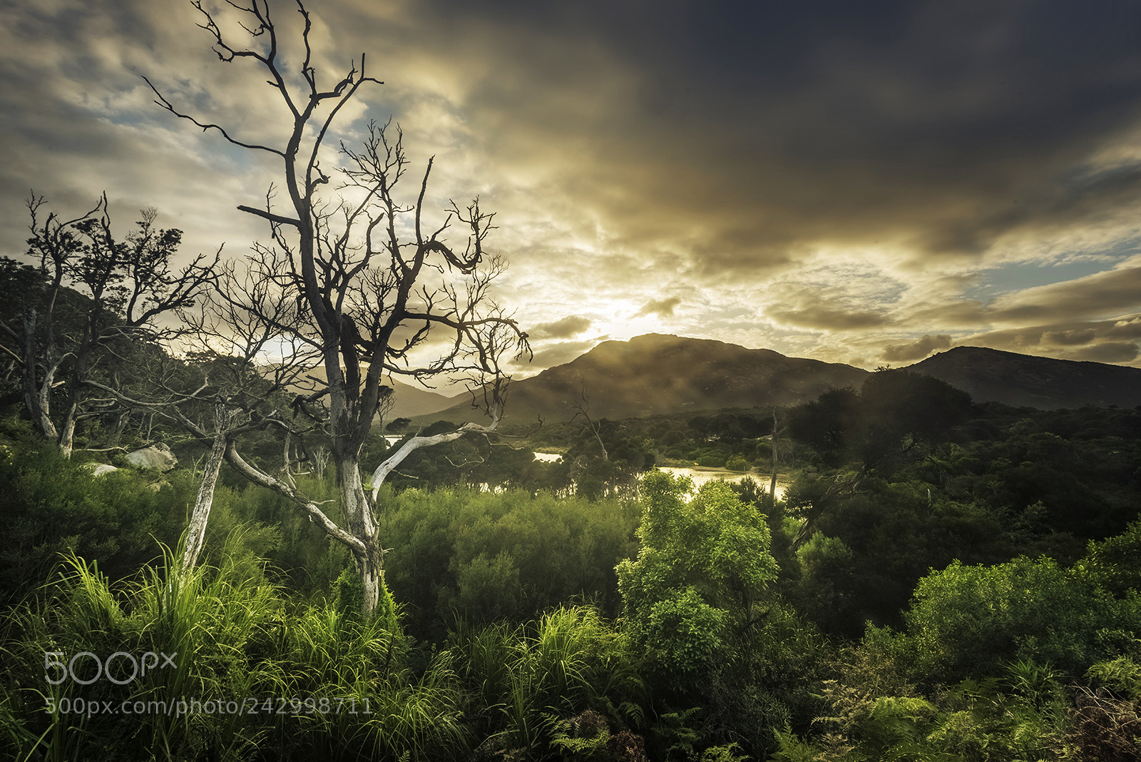 Nikon D810 sample photo. Morning photography