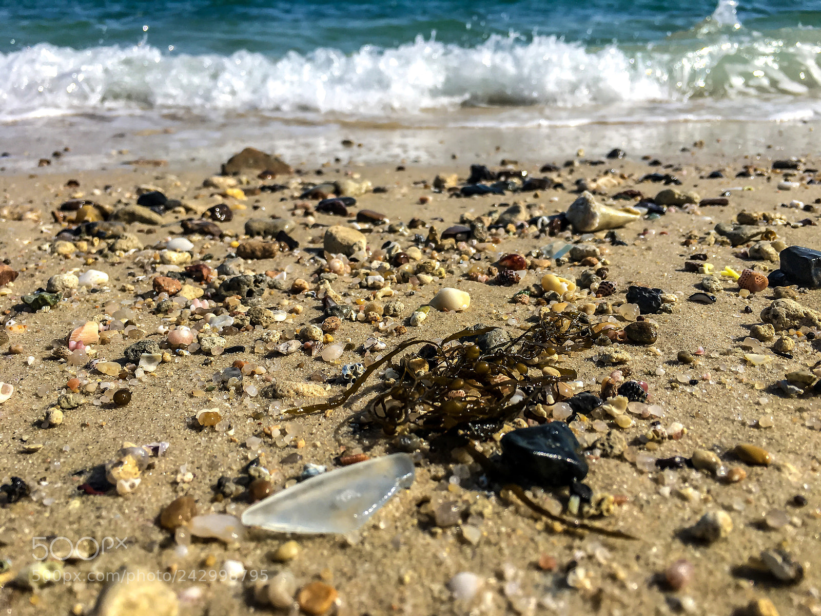 Apple iPhone 6s Plus sample photo. Anjafa beach shore photography