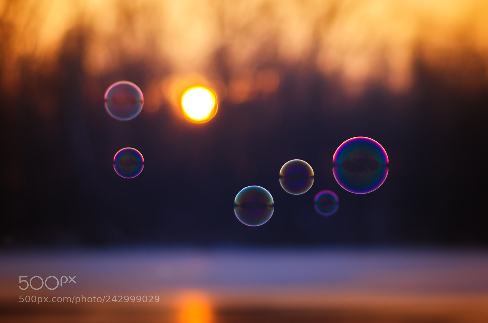 Nikon D5100 sample photo. Circles photography