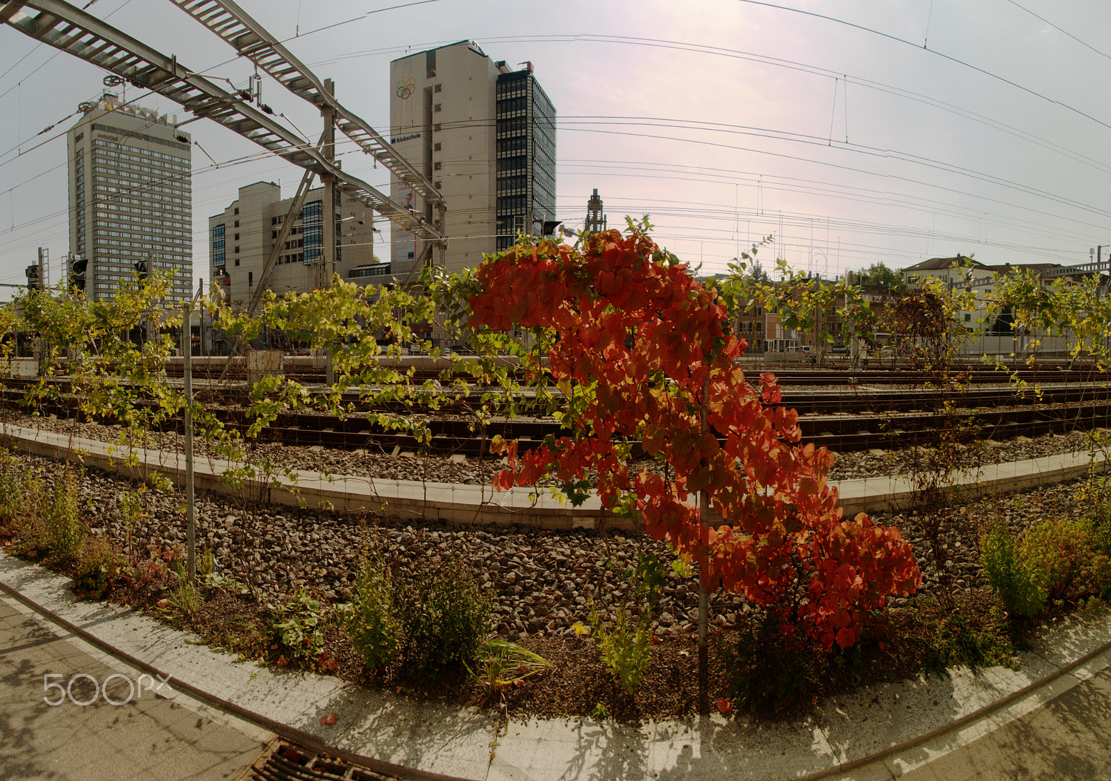 Nikon D300 sample photo. Zürich in autumn photography