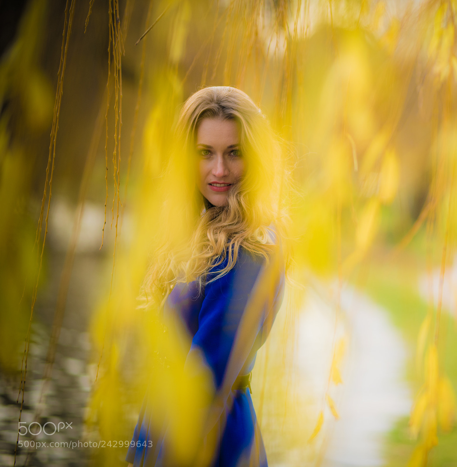 Nikon D850 sample photo. Veronica photography