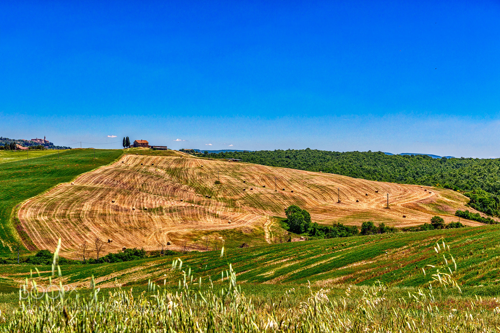 Nikon D810 sample photo. Lonely house on hill photography