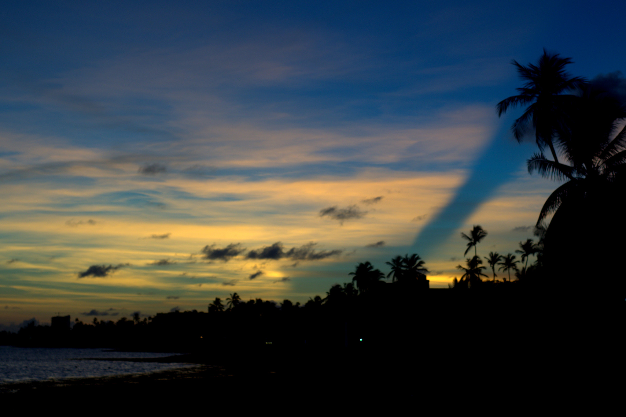 Sony 50mm F1.4 sample photo. The beach was the place photography