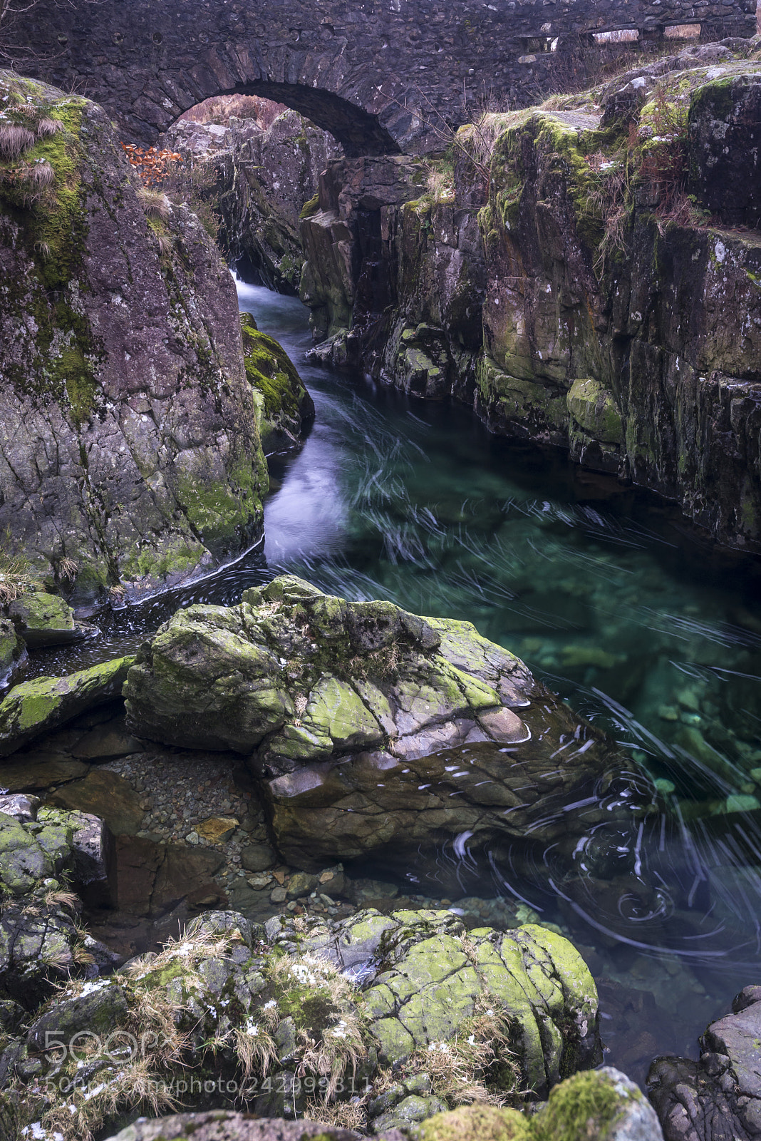 Nikon D610 sample photo. Bridge some where in photography