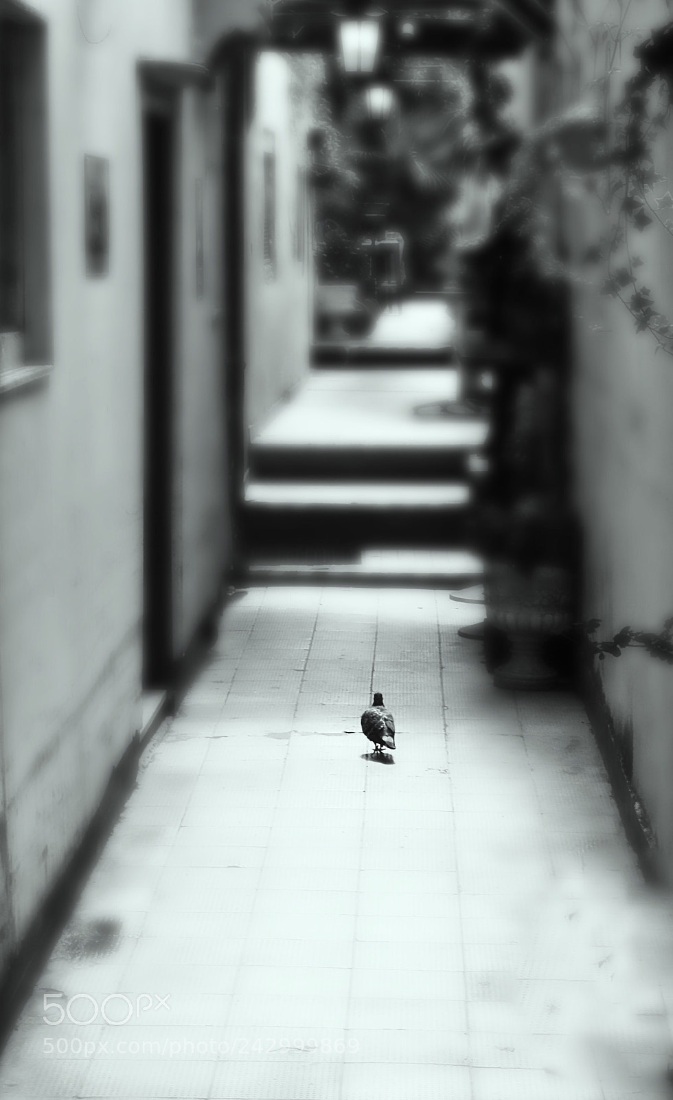 Nikon D7100 sample photo. Lonely walk photography