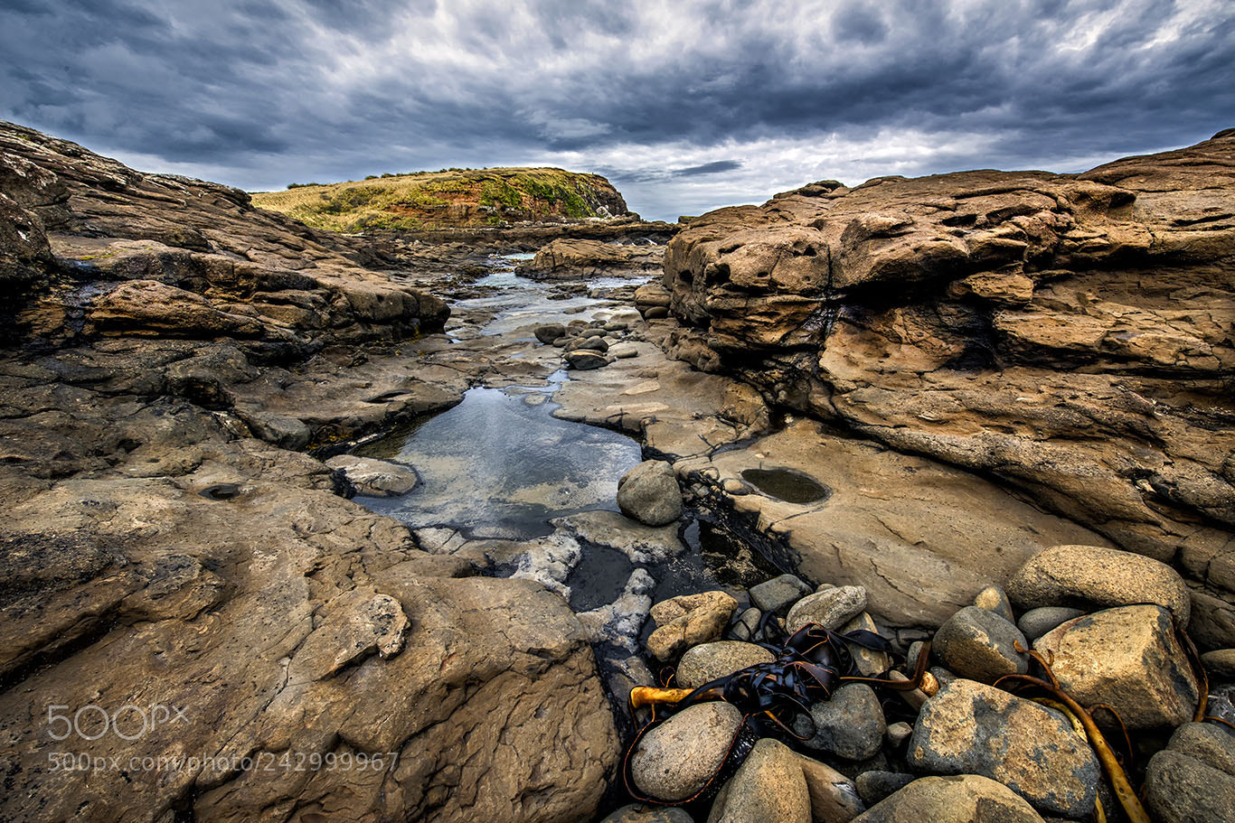 Nikon D810 sample photo. Beach photography