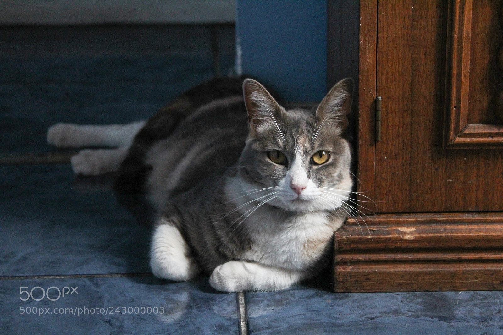 Canon EOS 1200D (EOS Rebel T5 / EOS Kiss X70 / EOS Hi) sample photo. Intensity love photography