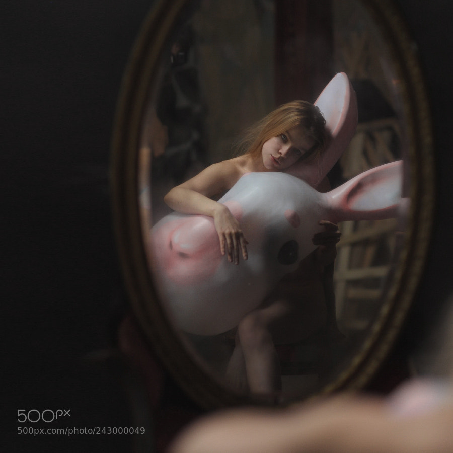 Nikon D700 sample photo. The story of one photography