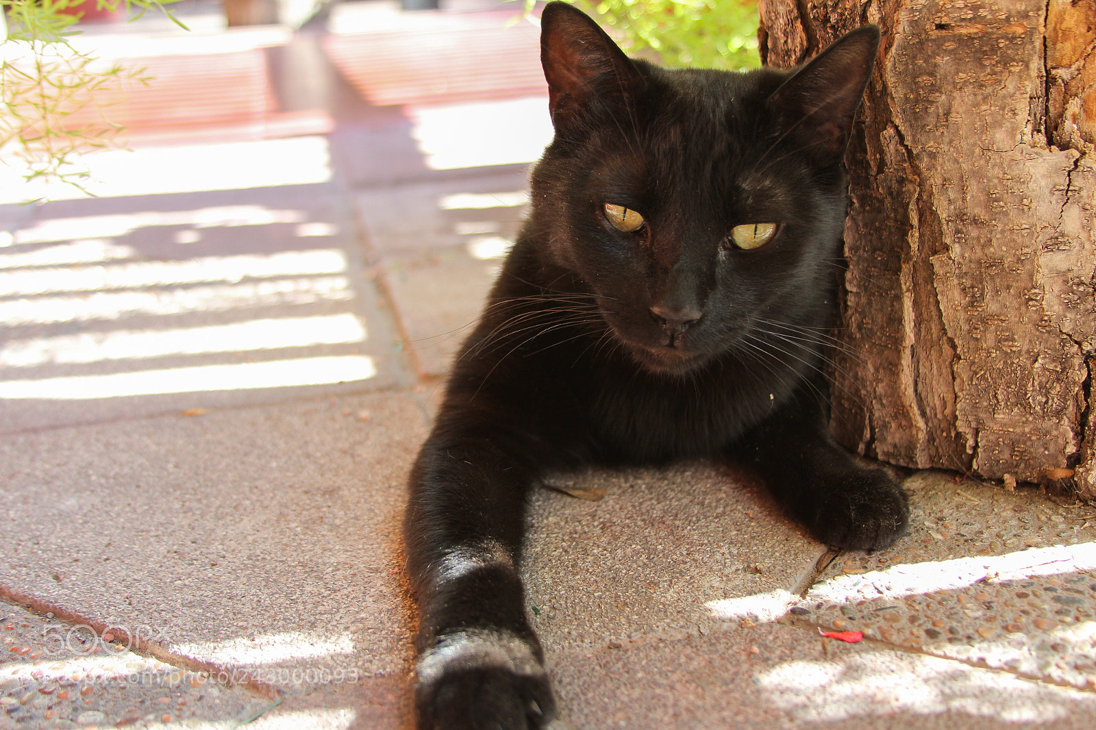 Canon EOS 1200D (EOS Rebel T5 / EOS Kiss X70 / EOS Hi) sample photo. Relaxing photography