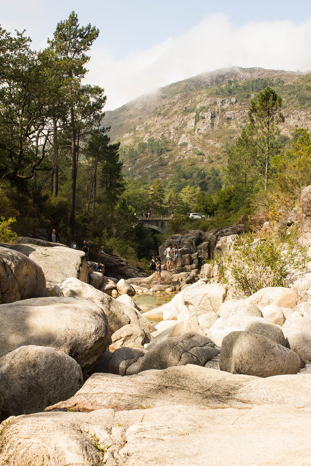 Canon EOS 550D (EOS Rebel T2i / EOS Kiss X4) sample photo. Gerês, portugal photography
