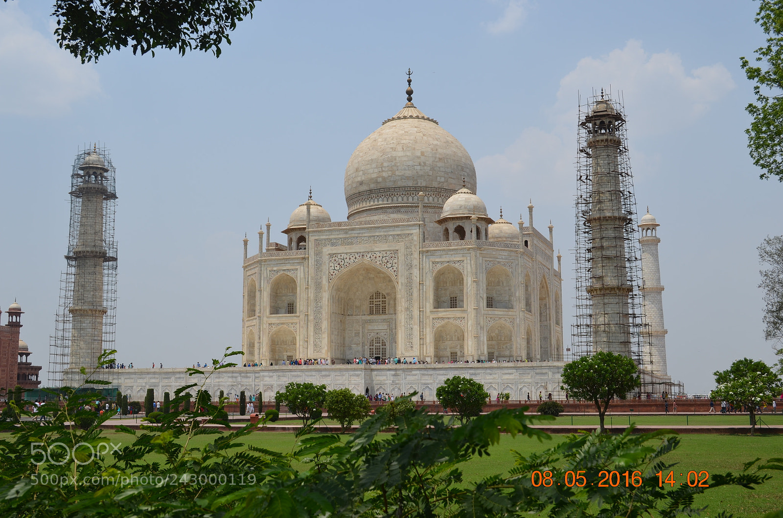 Nikon D5100 sample photo. Immaculate white photography