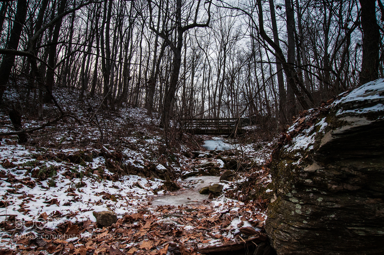 Nikon D300 sample photo. Frozen desolate photography