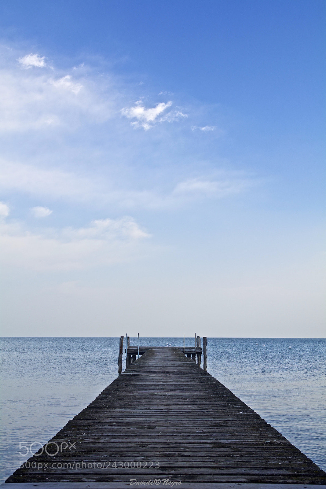 Nikon D7100 sample photo. Molo photography