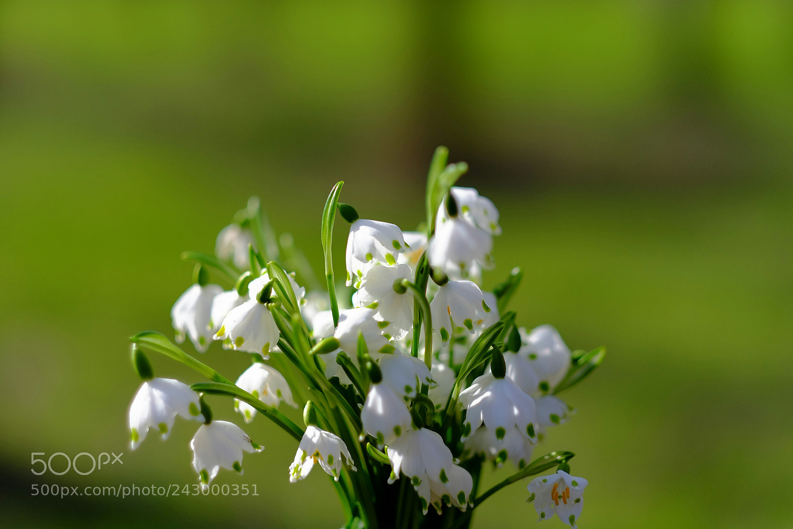 Fujifilm X-T1 sample photo. Untitled photography