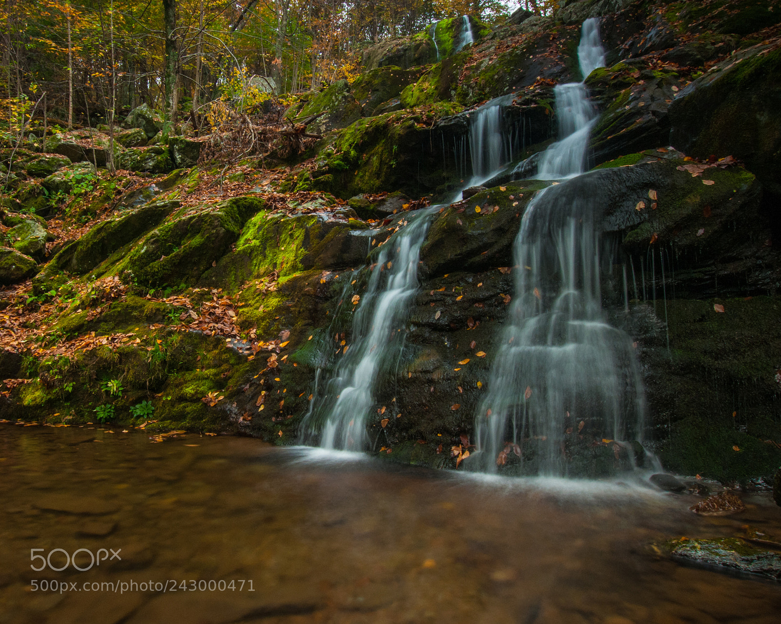 Nikon D300 sample photo. Shenandoah park falls photography