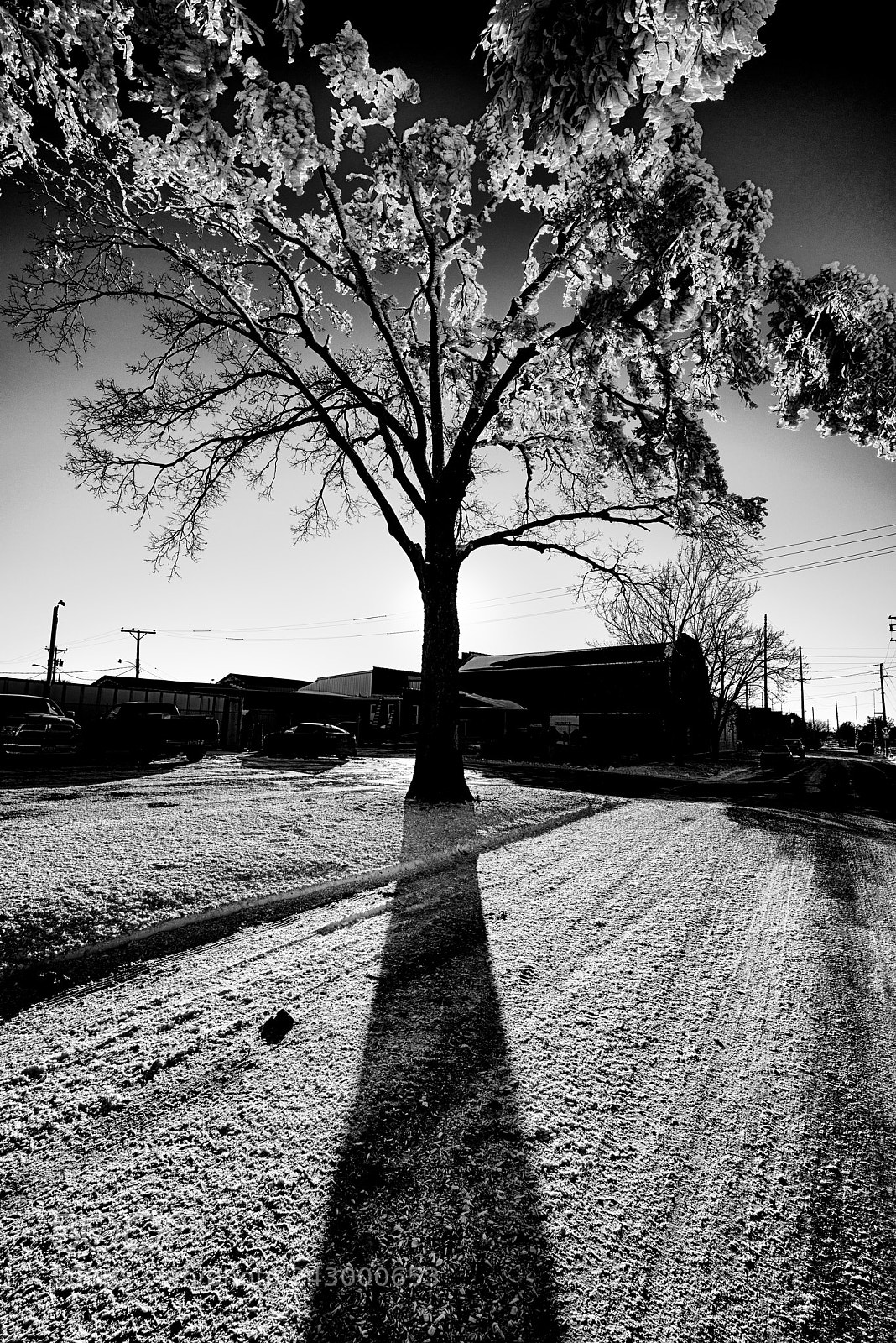 Nikon D800 sample photo. Dark snow photography