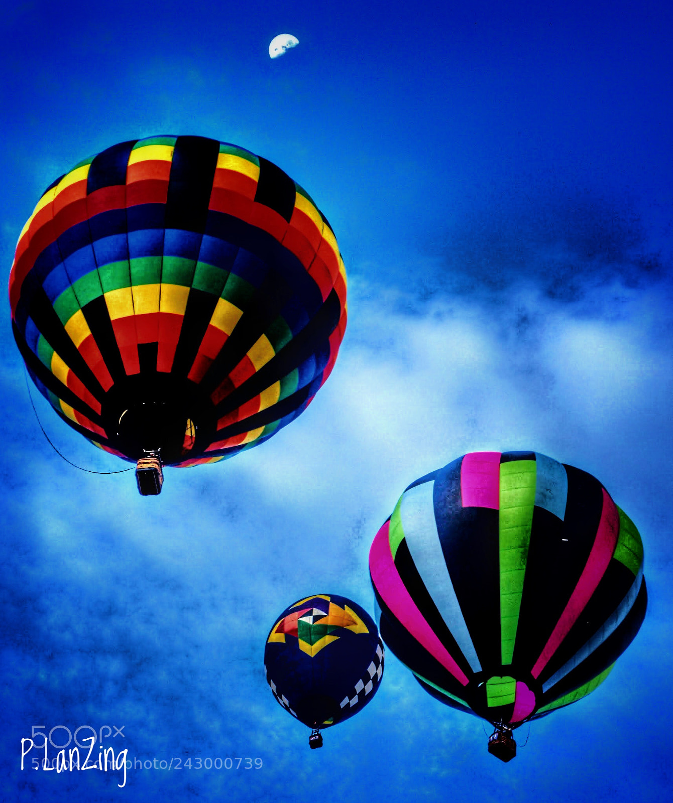 Olympus E-3 sample photo. Albuquerque balloon fiesta photography