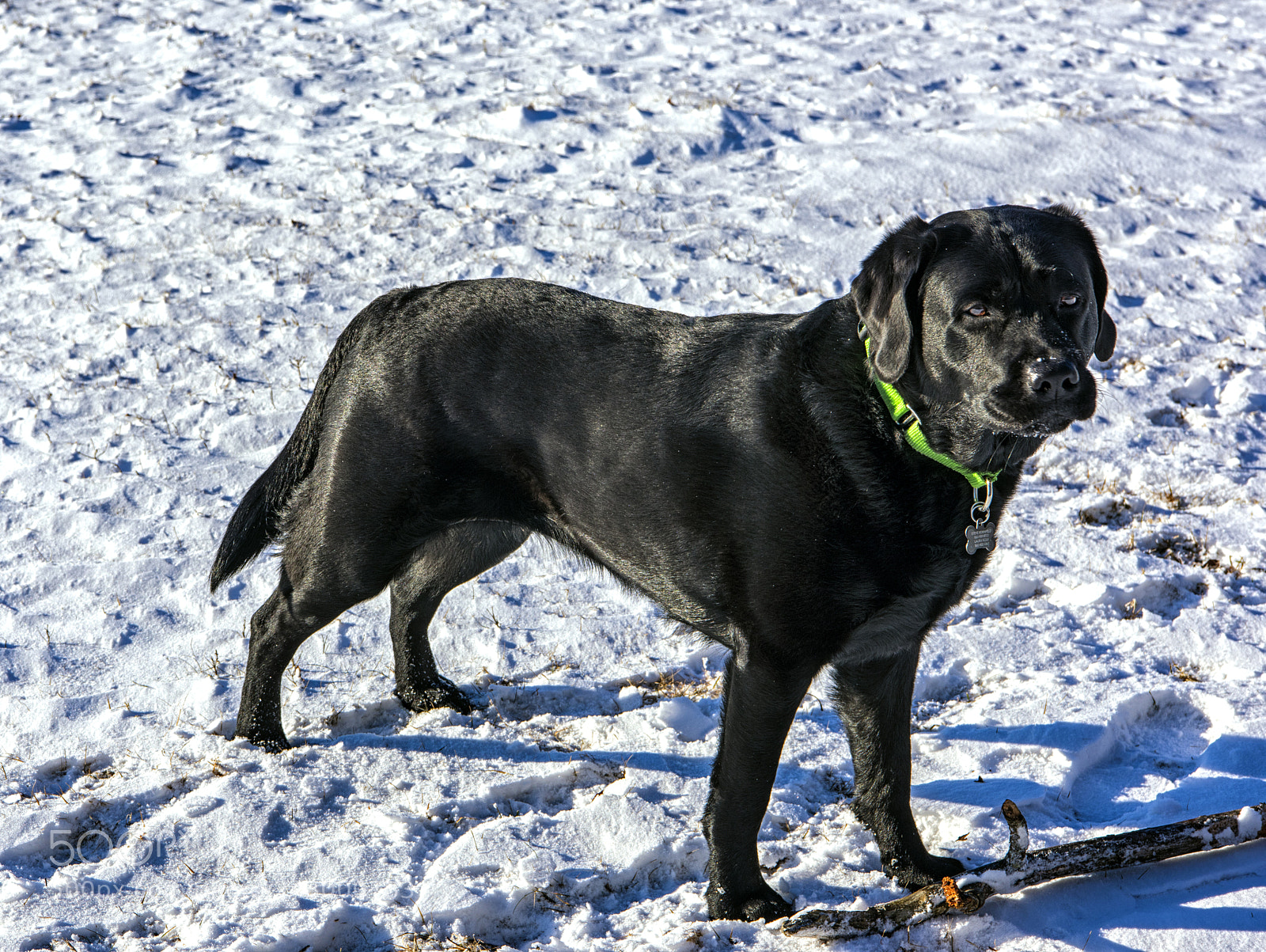 Nikon D810 sample photo. Summit standing in the photography
