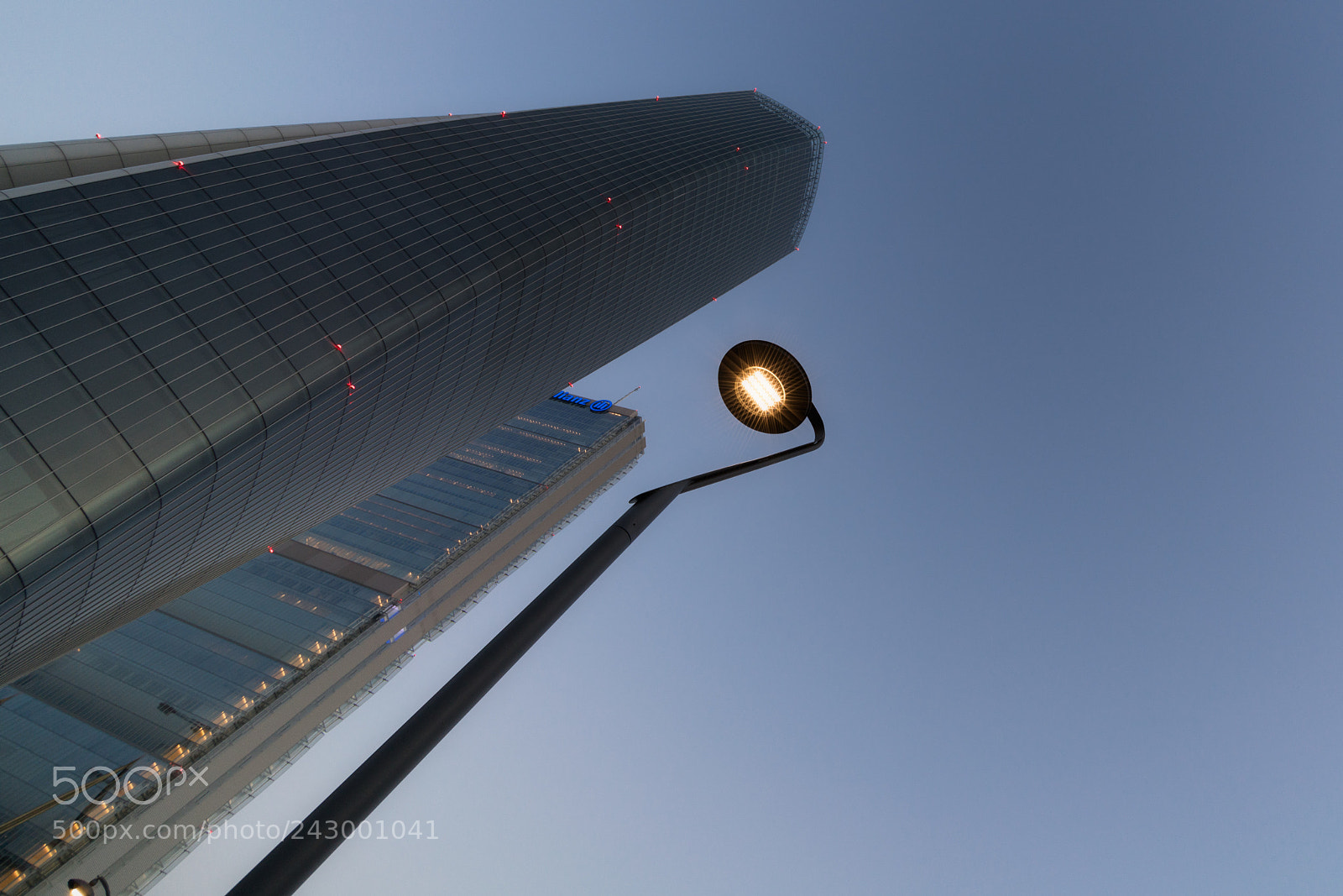 Sony a7R III sample photo. Close encounters photography