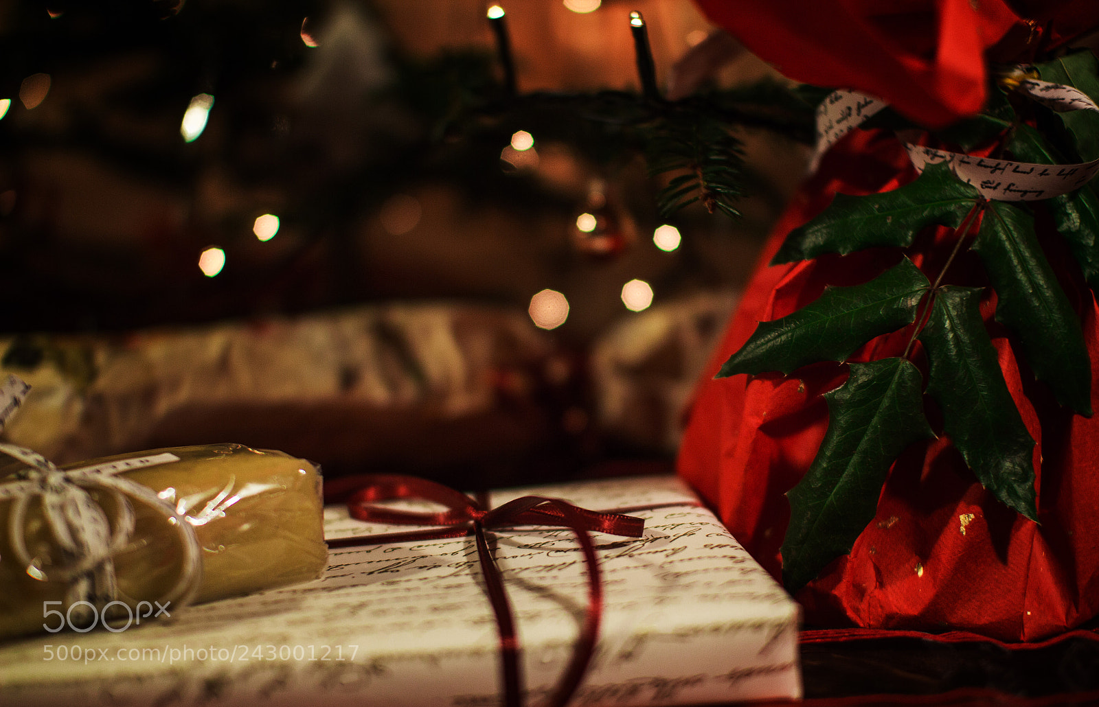 Canon EOS 60D sample photo. Christmas card photography