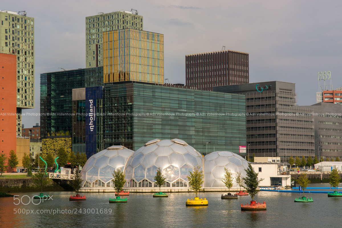 Nikon D7100 sample photo. Rijnhaven in rotterdam, the photography