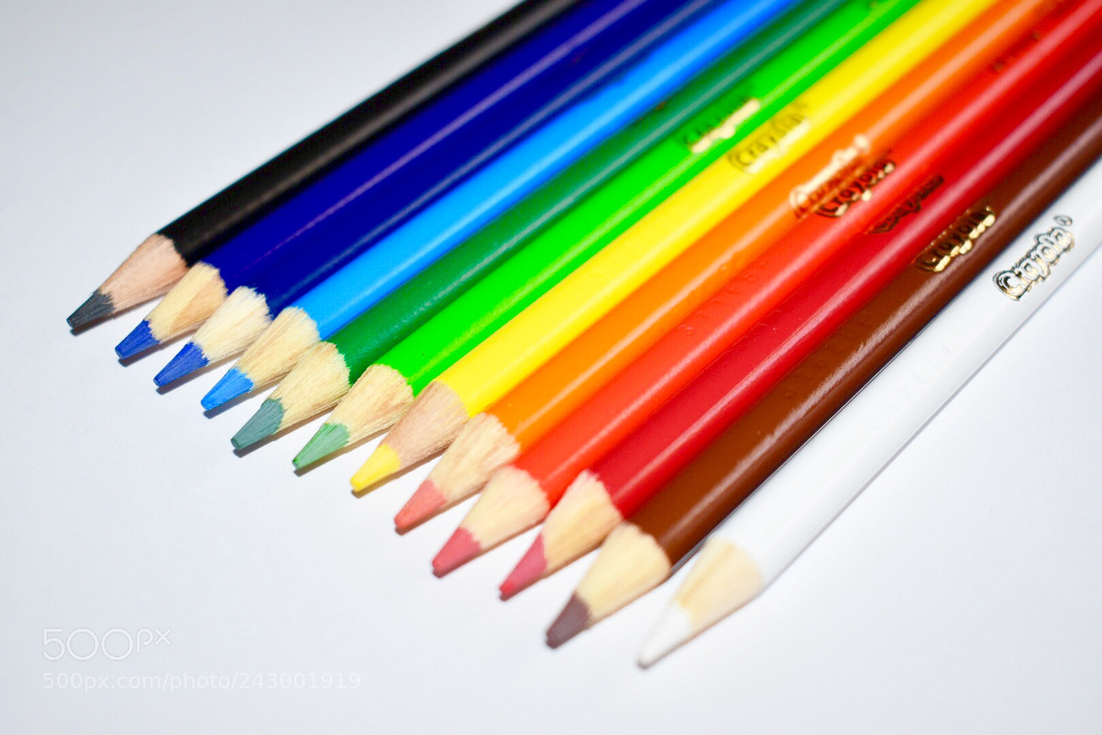 Nikon D5500 sample photo. Colorful photography