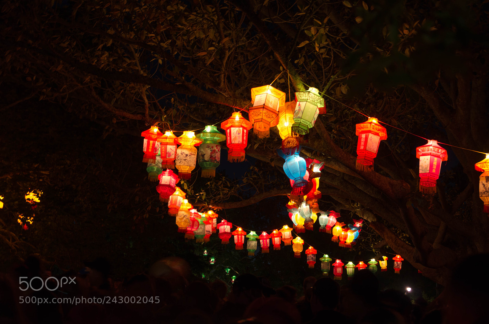 Nikon D5100 sample photo. Auckland lantern festival photography