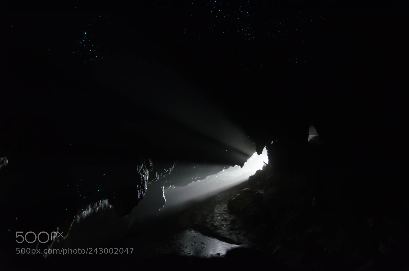 Nikon D5100 sample photo. Glowworm caves photography