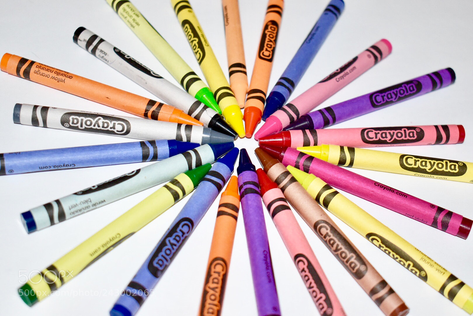 Nikon D5500 sample photo. Circle of colors photography