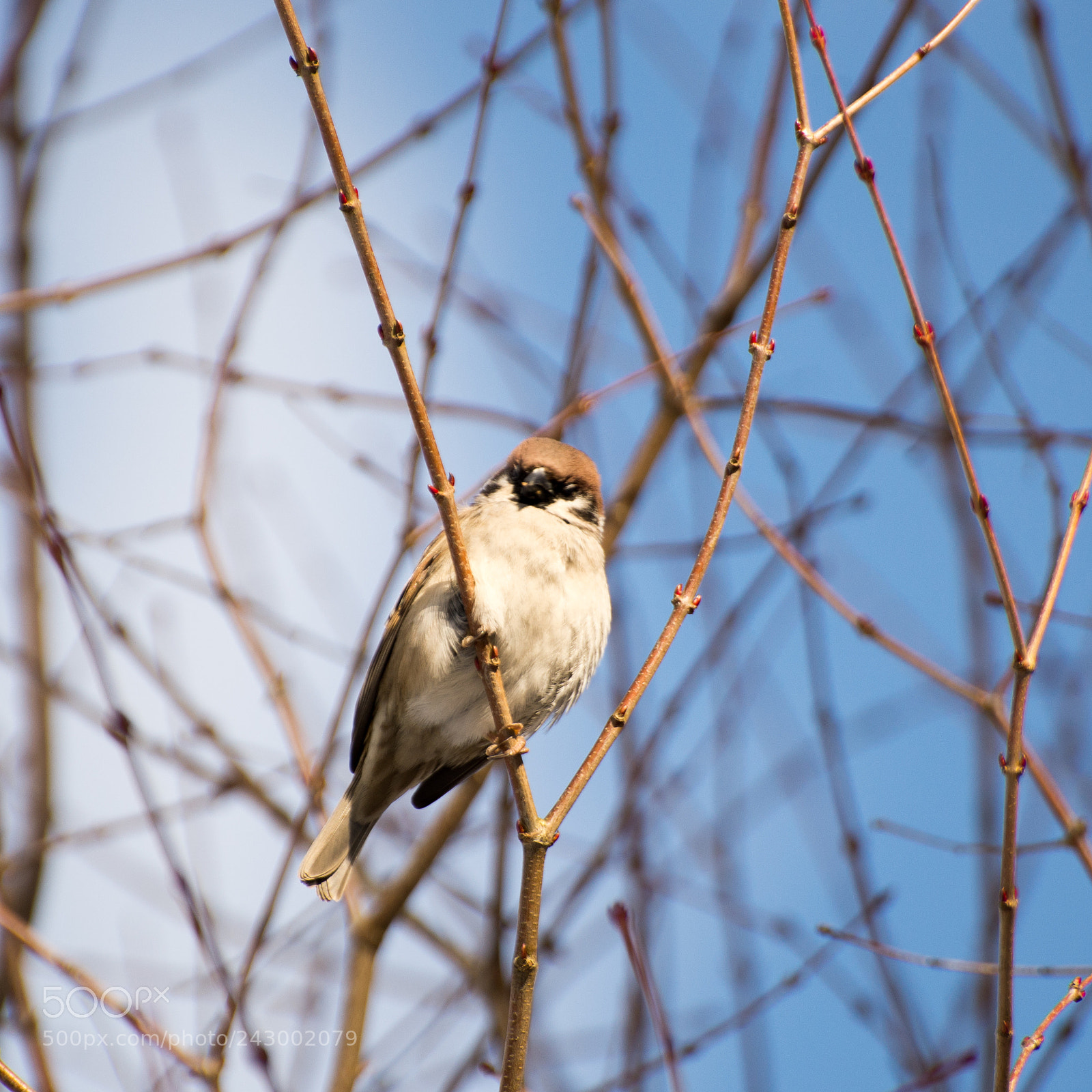 Nikon D600 sample photo. Untitled photography