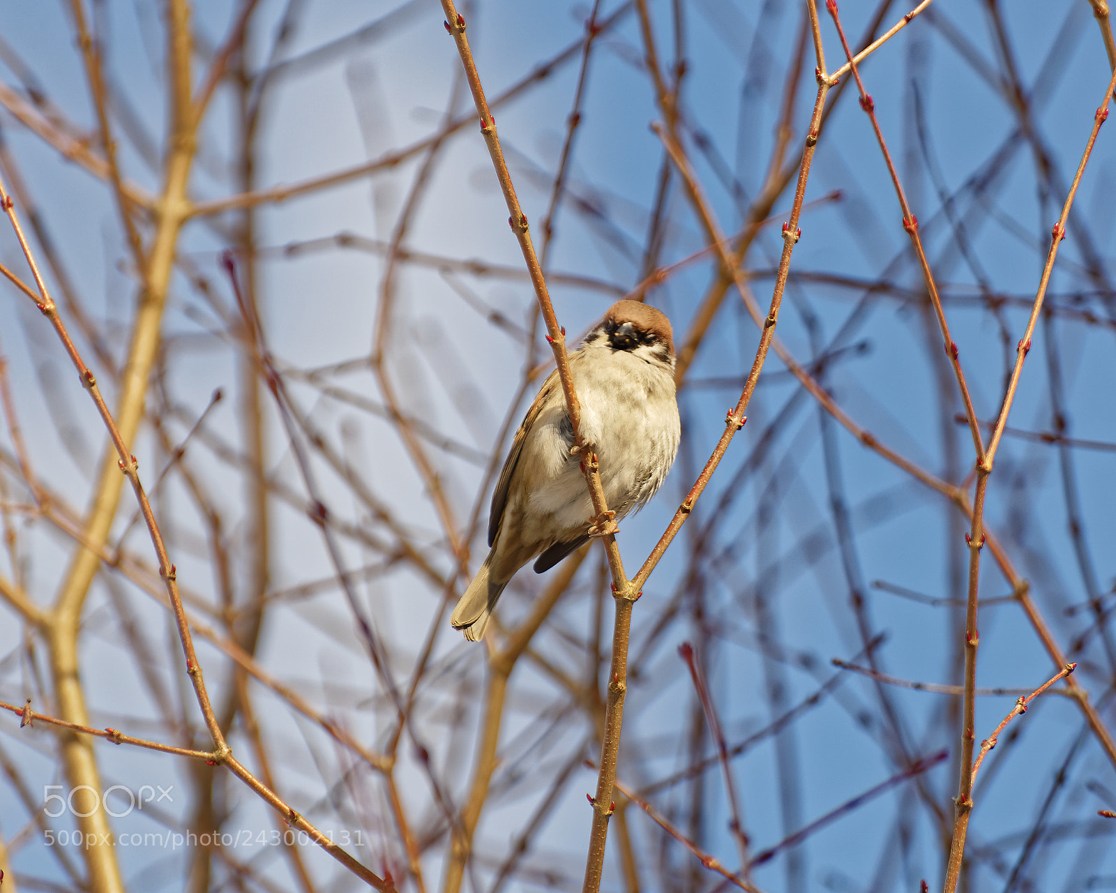 Nikon D600 sample photo. Untitled photography
