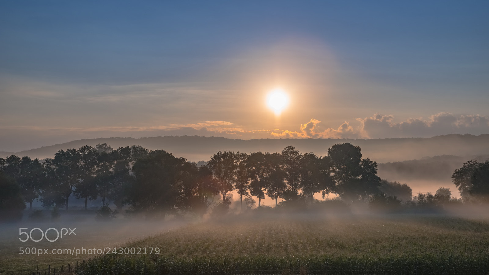 Nikon D800E sample photo. Morning fog photography