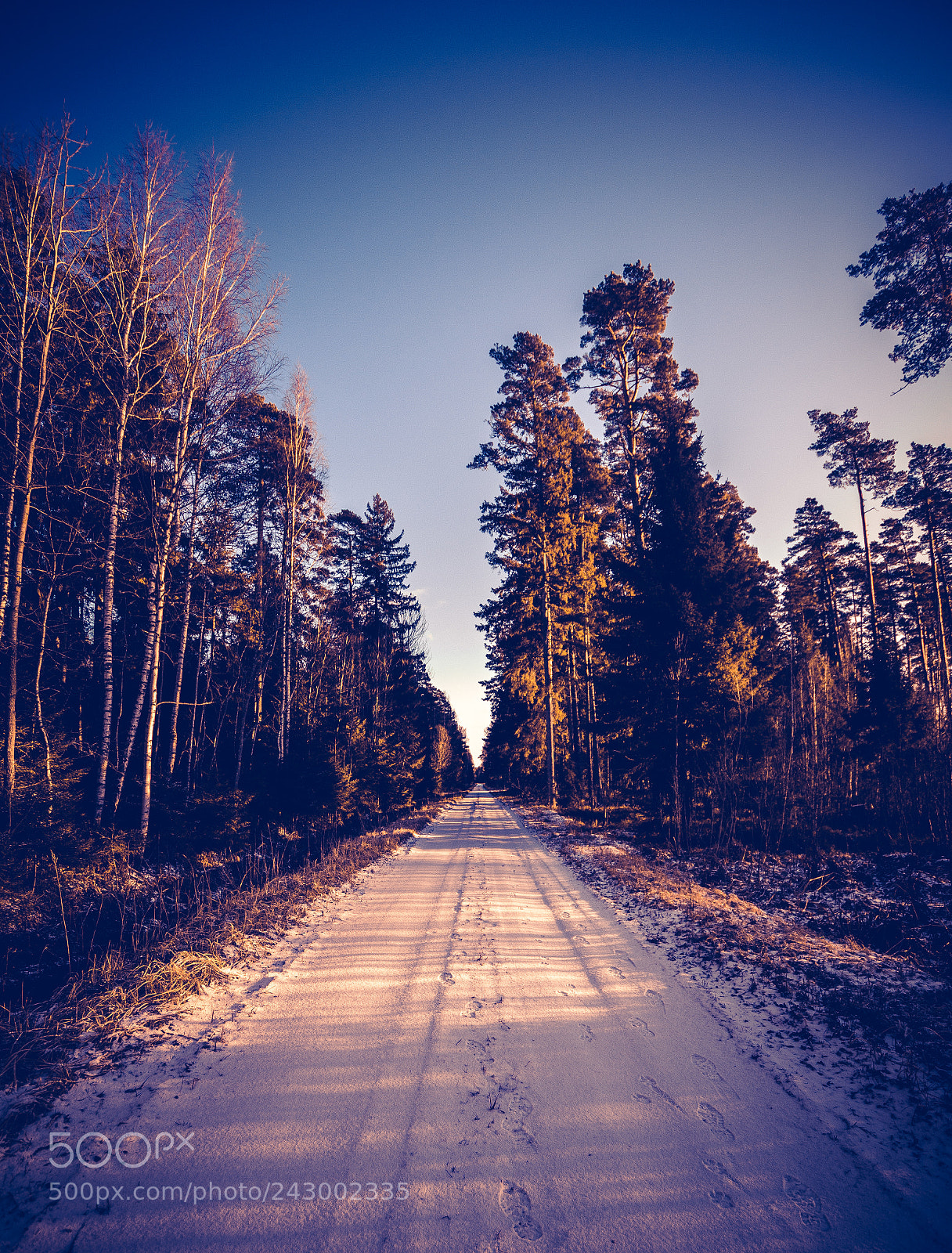 Nikon D7200 sample photo. Warm cold. photography