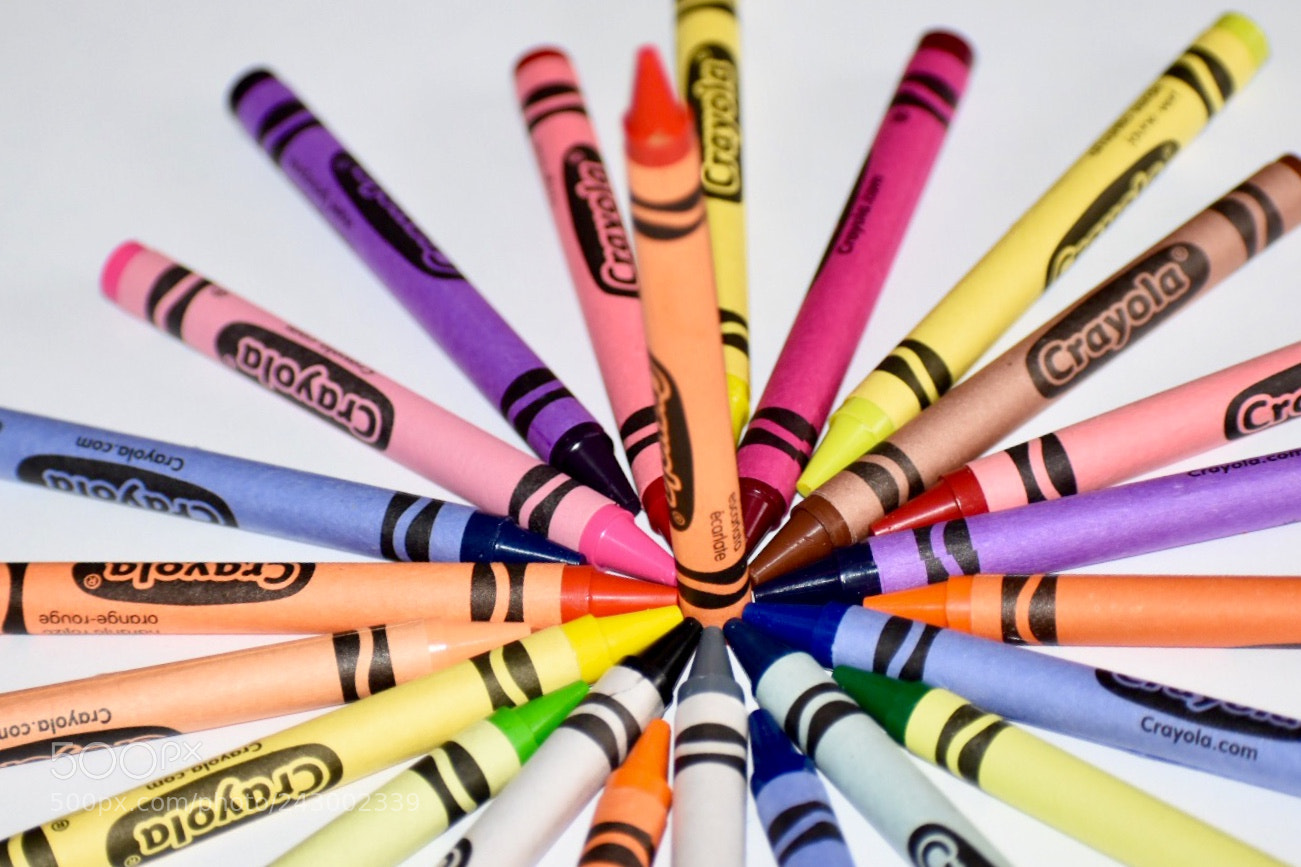Nikon D5500 sample photo. Bright colors photography
