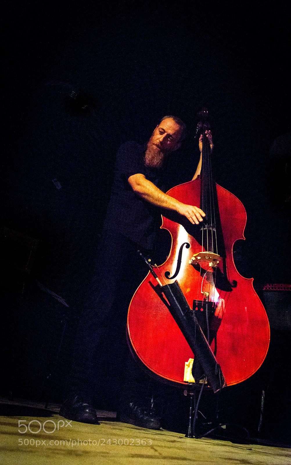 Nikon D800 sample photo. The bass man photography