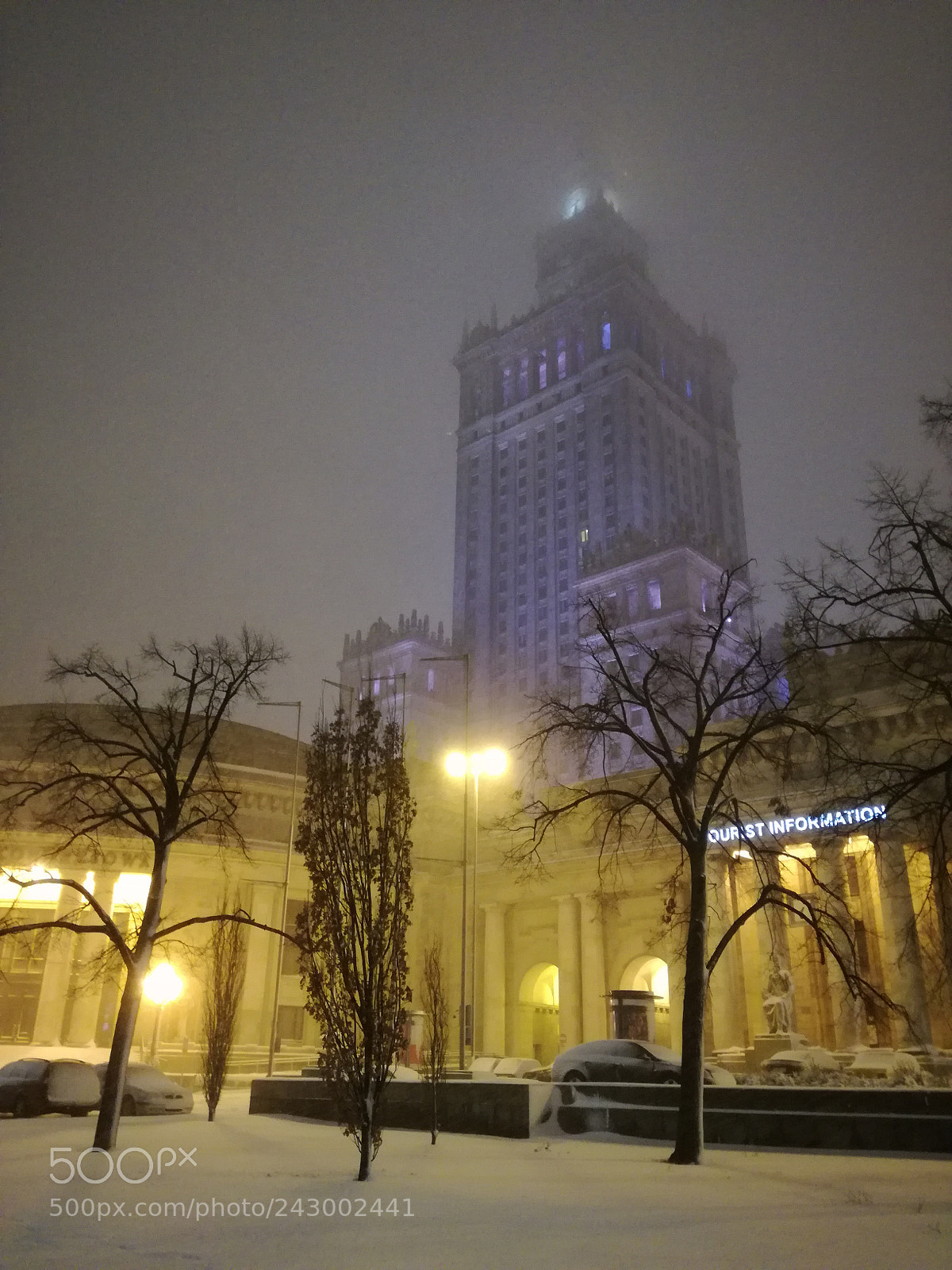 HUAWEI P9 LITE sample photo. Fresh snow - no photography