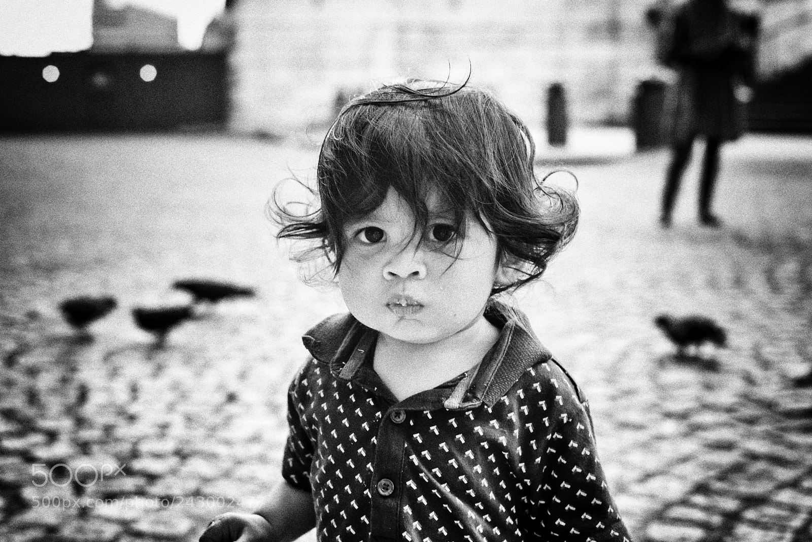 Nikon D610 sample photo. St pauls portrait (internet)) photography