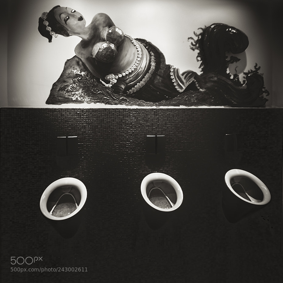 Pentax K-5 sample photo. Toilet art photography