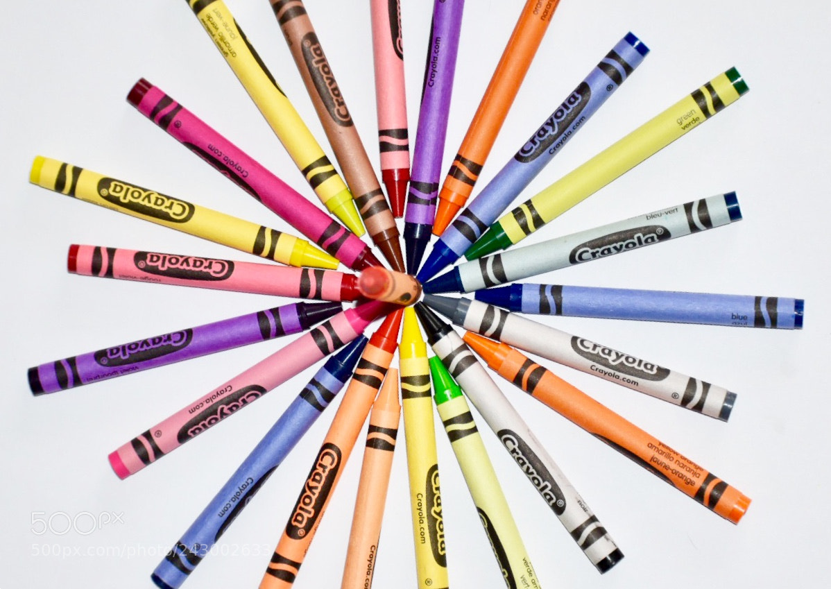 Nikon D5500 sample photo. Wheel of colors photography