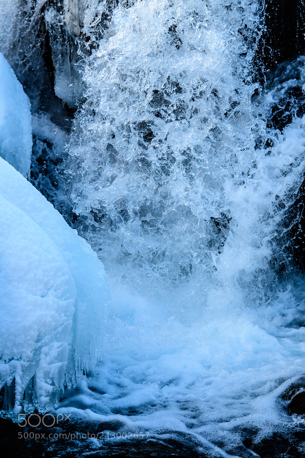 Nikon D500 sample photo. Dynamic and static photography