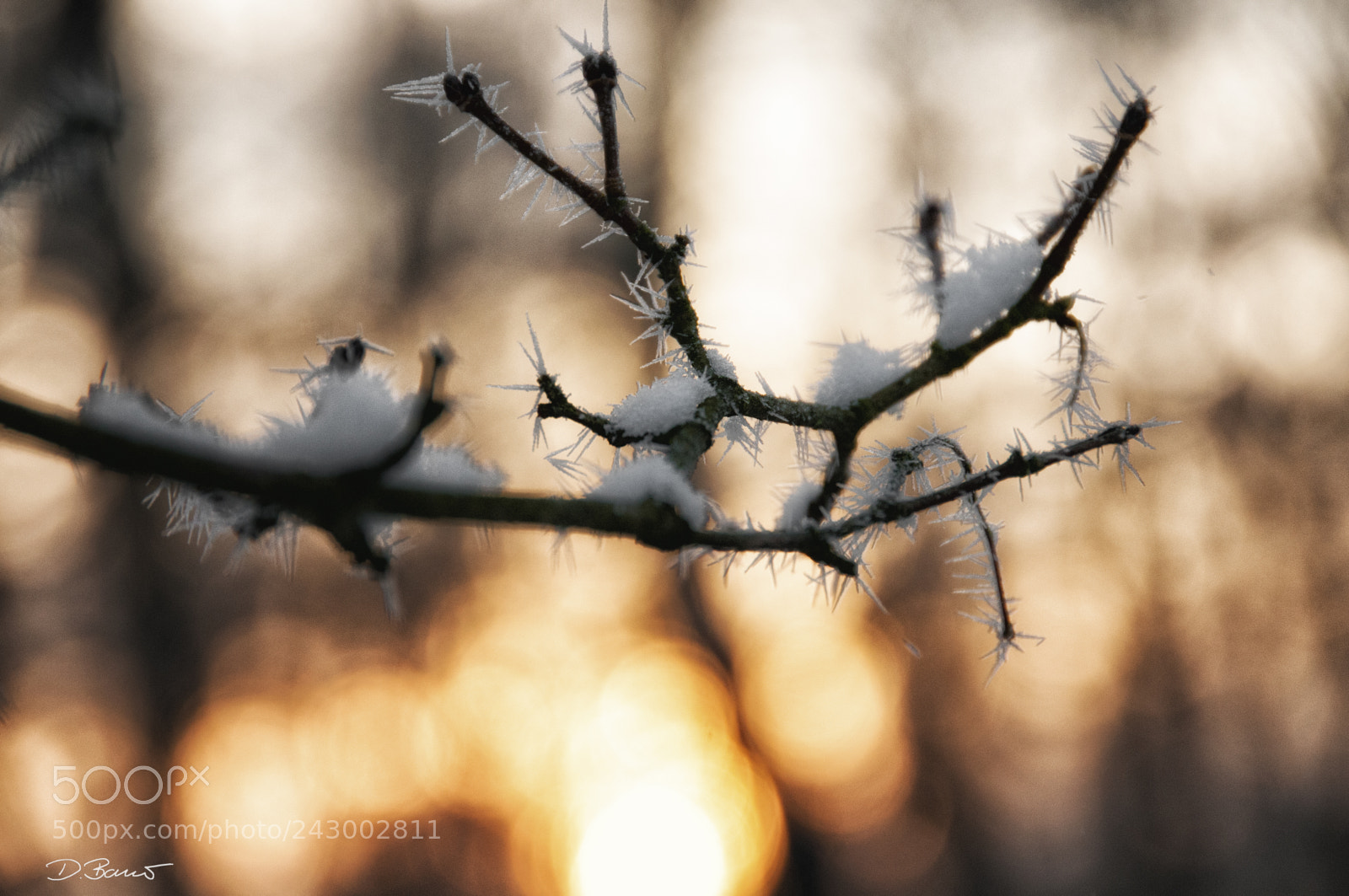 Nikon D300S sample photo. No name photography