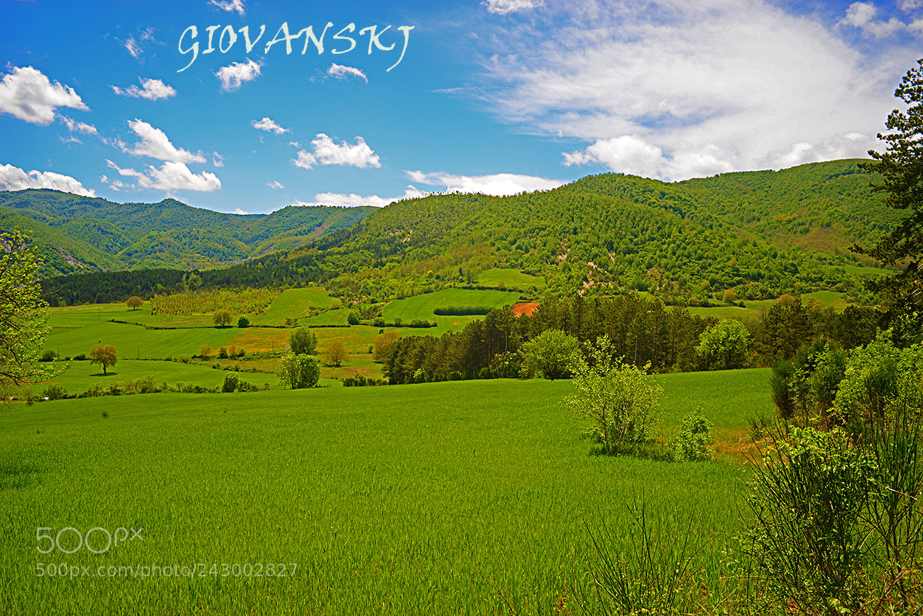 Nikon D800 sample photo. Campo verdi photography