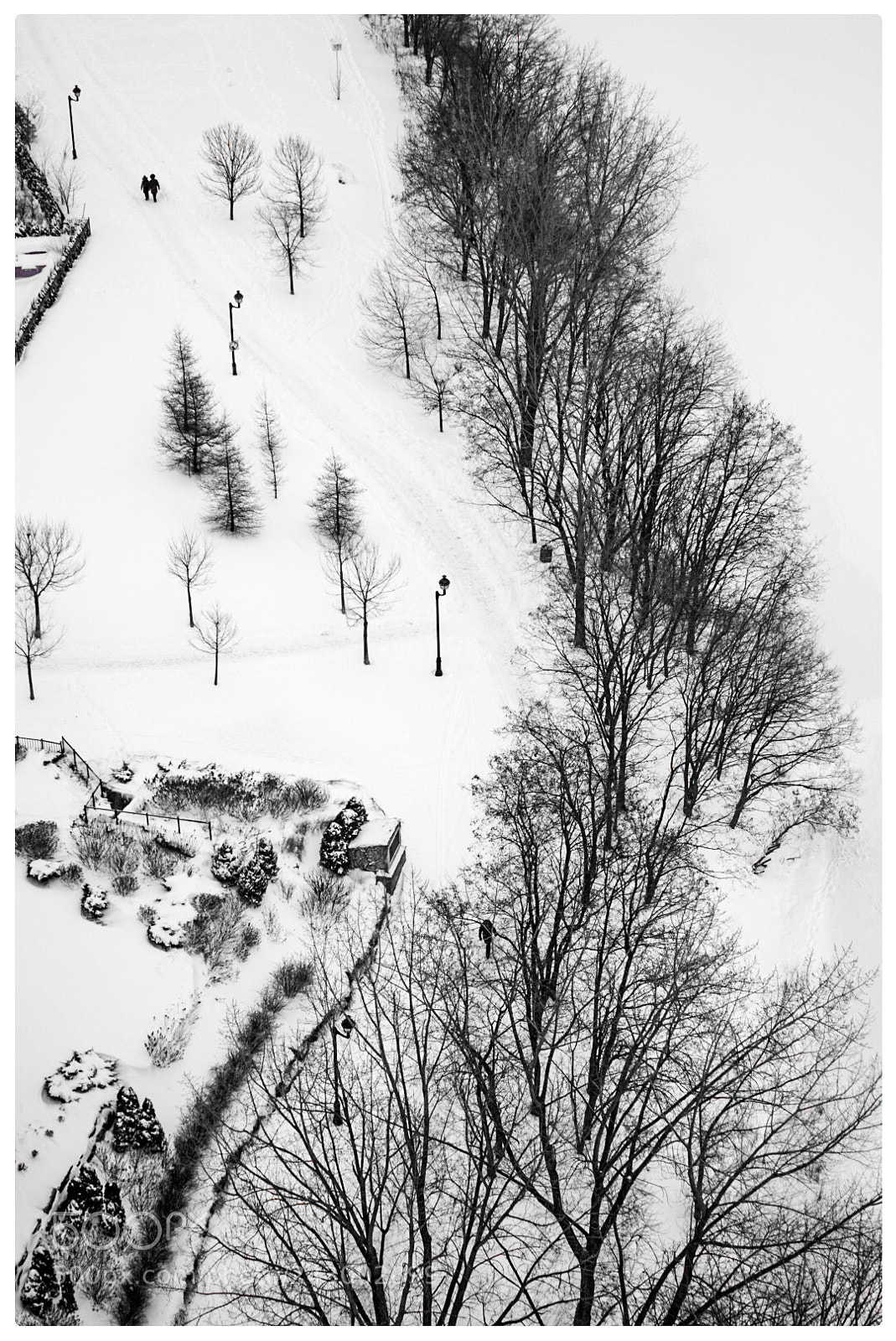 Sony a7R II sample photo. Winter in montreal photography