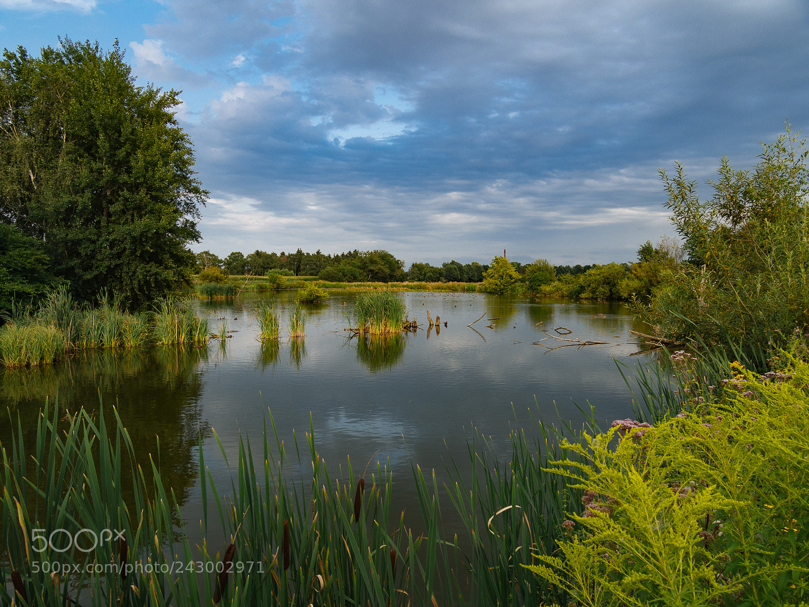 Olympus PEN E-PL6 sample photo. Lake view photography