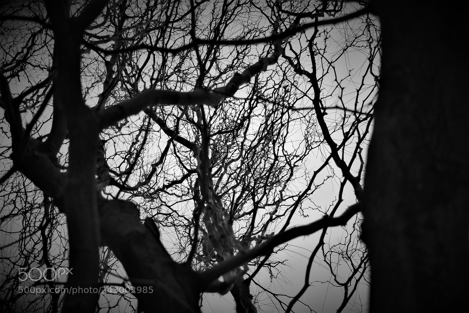Nikon D3400 sample photo. Dark photography