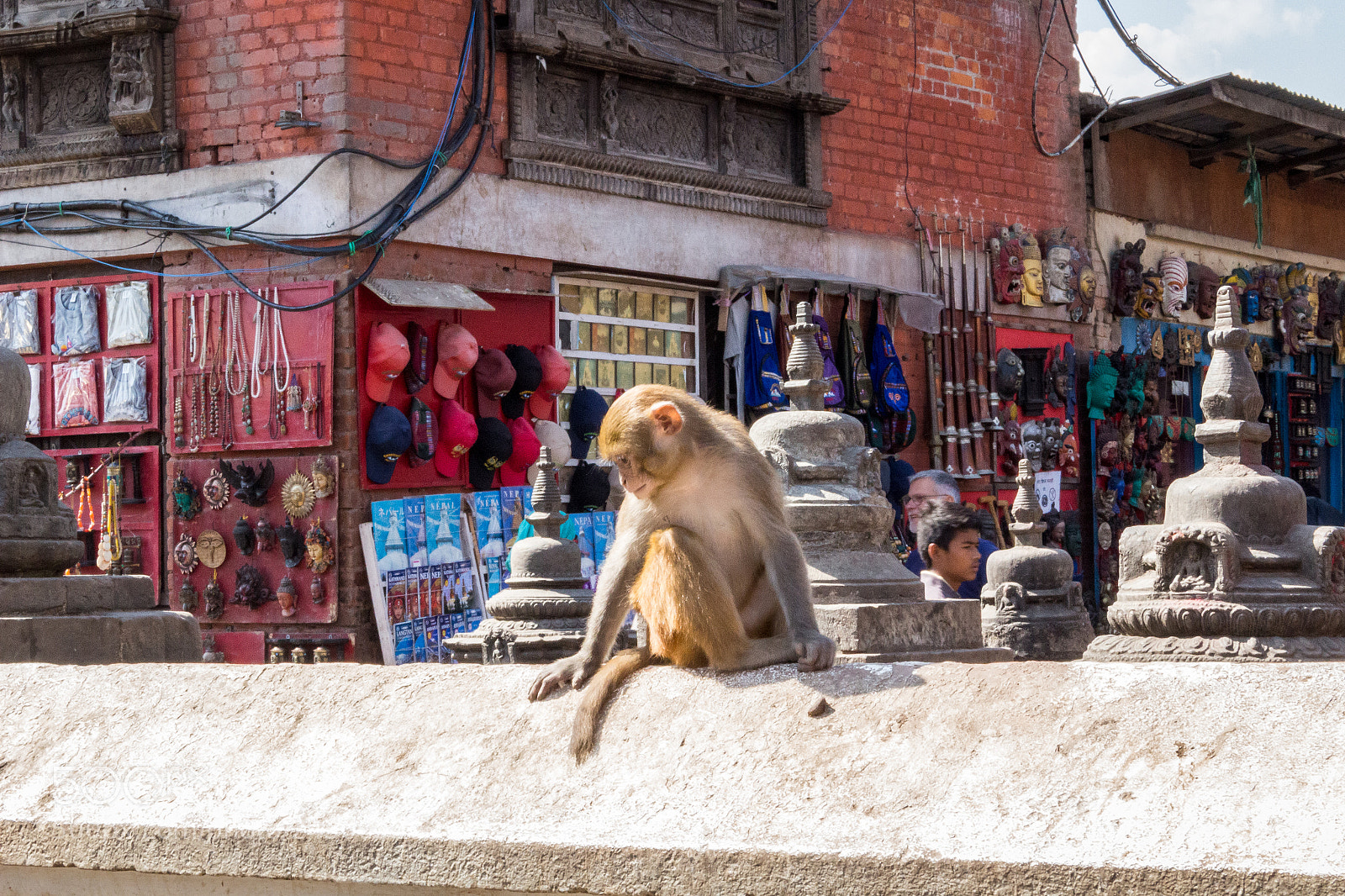 Canon EOS 100D (EOS Rebel SL1 / EOS Kiss X7) sample photo. Monkey at swayabhunath stupa photography